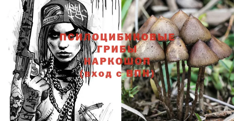 Галлюциногенные грибы Psilocybine cubensis  площадка наркотические препараты  hydra зеркало  Белокуриха  купить  цена 